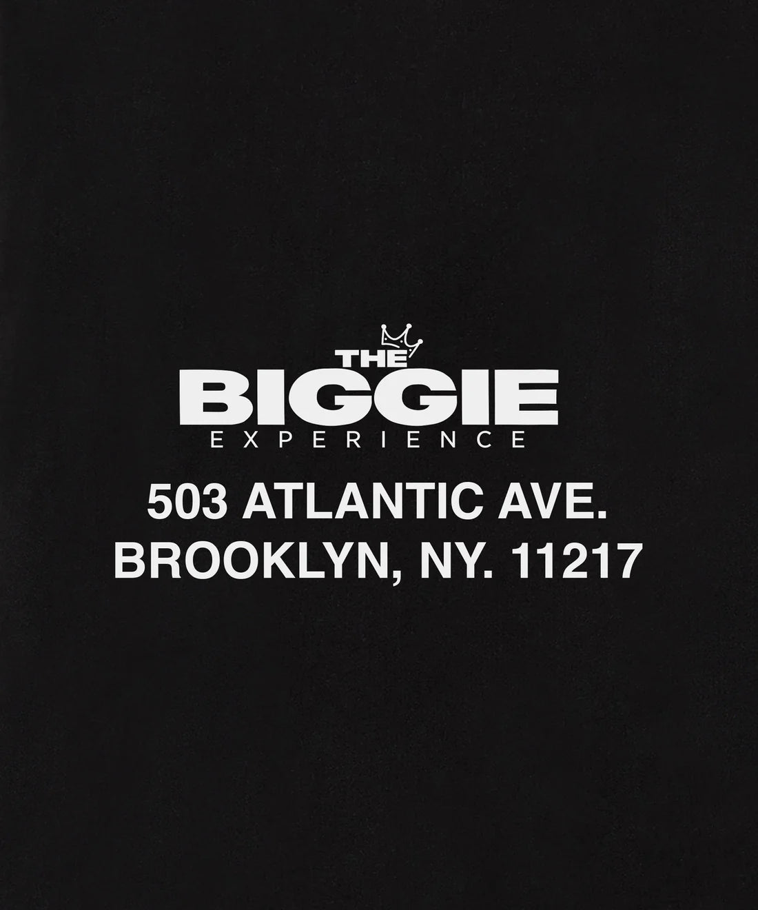 Notoriouss X Paper Planes (Dream B.I.G. Tshirt)